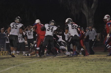 Enlarge photo 37