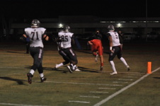 Enlarge photo 133