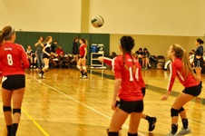 Enlarge photo 41