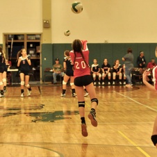 Enlarge photo 44