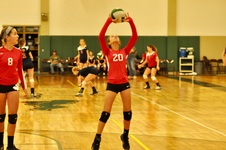 Enlarge photo 48