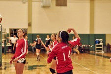 Enlarge photo 50