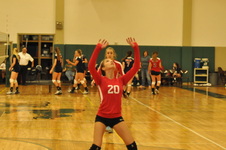 Enlarge photo 107