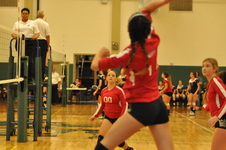 Enlarge photo 113