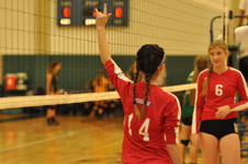 Enlarge photo 116