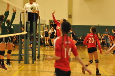 Enlarge photo 127