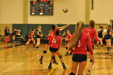 Enlarge photo 145