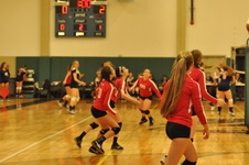 Enlarge photo 146