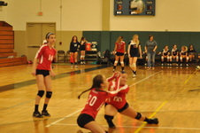 Enlarge photo 147
