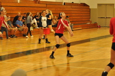 Enlarge photo 149