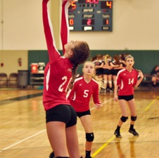 Enlarge photo 166