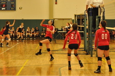 Enlarge photo 241