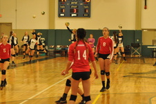 Enlarge photo 313
