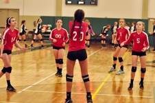 Enlarge photo 332