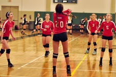 Enlarge photo 333