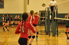 Enlarge photo 345