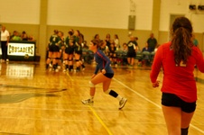 Enlarge photo 49