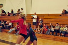 Enlarge photo 58
