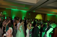 Enlarge photo 126