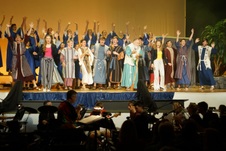 Enlarge photo 174