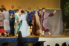 Enlarge photo 202