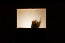 Enlarge photo 807