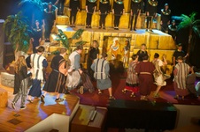 Enlarge photo 585
