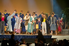 Enlarge photo 205