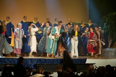 Enlarge photo 206