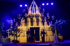 Enlarge photo 63