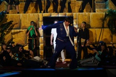 Enlarge photo 582