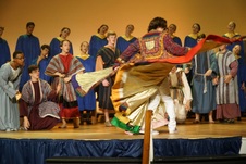 Enlarge photo 244