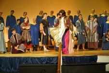 Enlarge photo 272