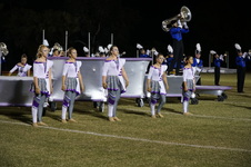 Enlarge photo 241