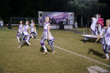 Enlarge photo 245
