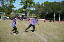 Enlarge photo 197