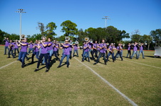 Enlarge photo 239