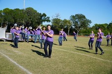 Enlarge photo 291