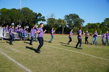 Enlarge photo 299