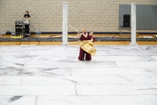 Enlarge photo 174