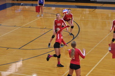 Enlarge photo 339