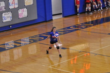 Enlarge photo 169