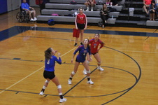 Enlarge photo 154