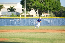Enlarge photo 248
