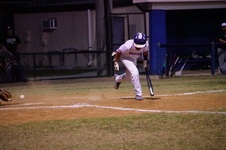 Enlarge photo 151