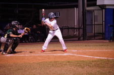 Enlarge photo 214