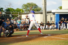 Enlarge photo 105