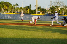 Enlarge photo 305
