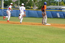 Enlarge photo 213