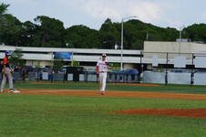 Enlarge photo 235